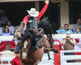 Calgary Stampede